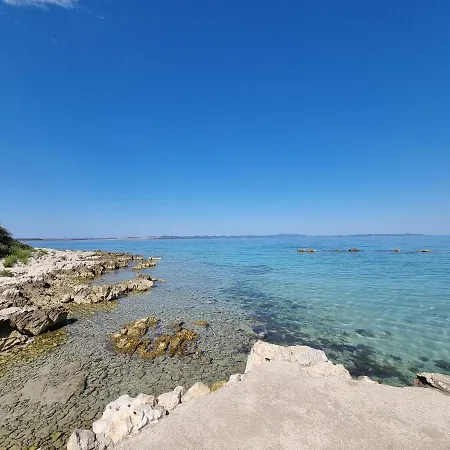 Πανσιόν Robinson House Ruza