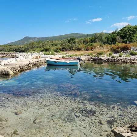 Robinson House Ruza *