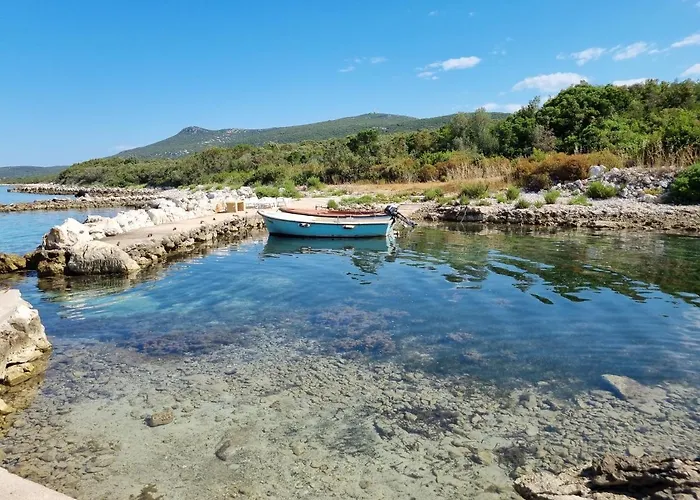 Robinson House Ruza *