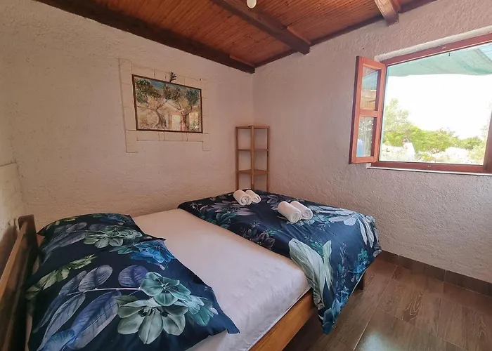 Robinson House Ruza Gostinjska kuća